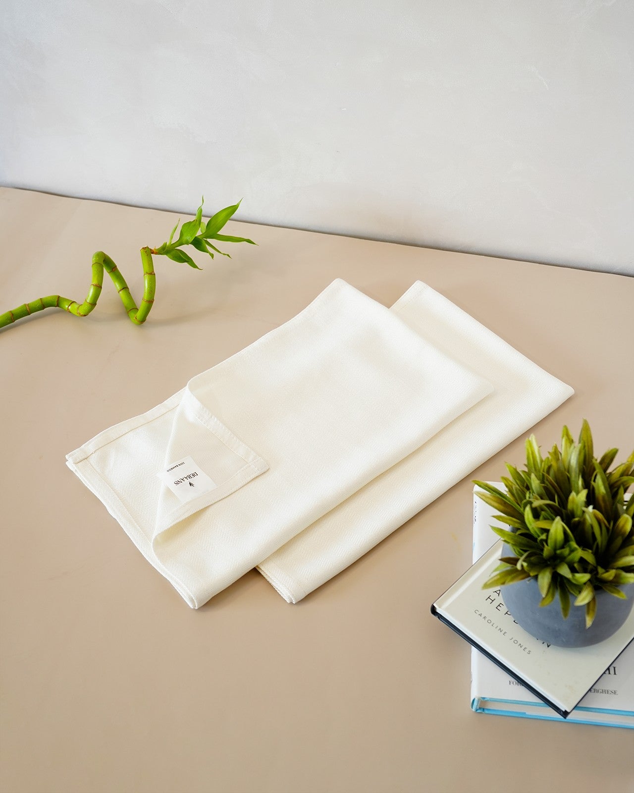 Set of 2 Bamboo Hand Towels | White